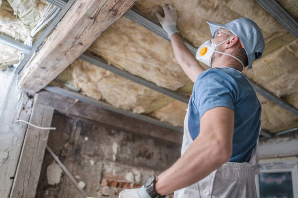 Best Spray Foam Insulation in Blue Ridge, GA