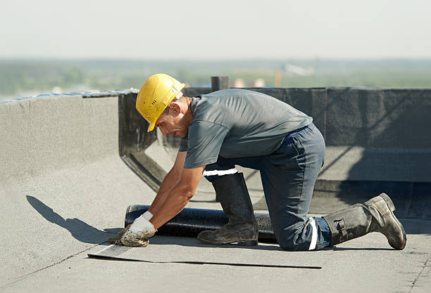 Best Eco-Friendly Insulation in Blue Ridge, GA