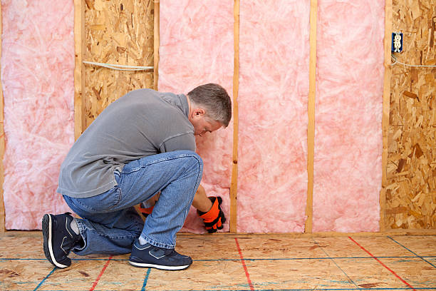 Best Spray Foam Insulation in Blue Ridge, GA