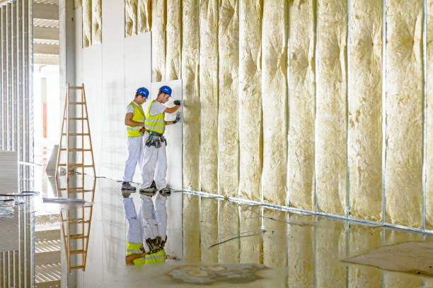 Best Energy Efficiency Insulation in Blue Ridge, GA